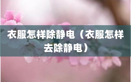 衣服怎样除静电（衣服怎样去除静电）