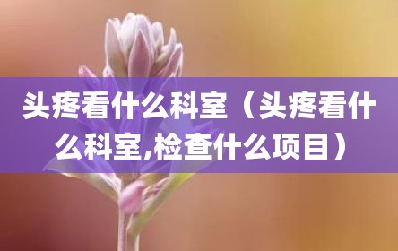 头疼看什么科室（头疼看什么科室,检查什么项目）