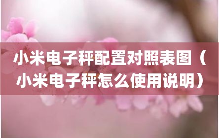 小米电子秤配置对照表图（小米电子秤怎么使用说明）