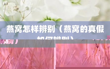 燕窝怎样辨别（燕窝的真假如何辨别）