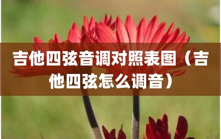 吉他四弦音调对照表图（吉他四弦怎么调音）