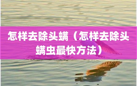 怎样去除头螨（怎样去除头螨虫最快方法）