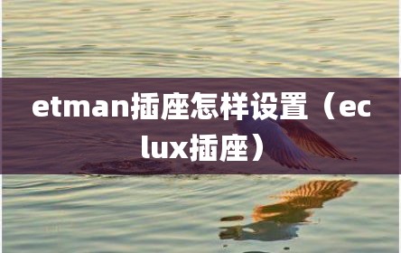 etman插座怎样设置（eclux插座）