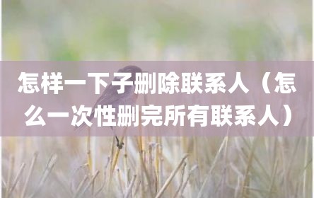 怎样一下子删除联系人（怎么一次性删完所有联系人）