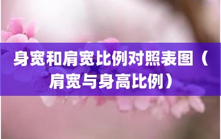 身宽和肩宽比例对照表图（肩宽与身高比例）