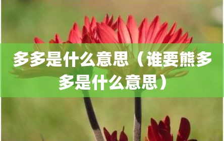 多多是什么意思（谁要熊多多是什么意思）
