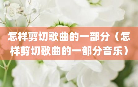 怎样剪切歌曲的一部分（怎样剪切歌曲的一部分音乐）