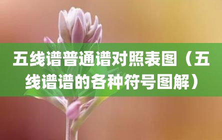 五线谱普通谱对照表图（五线谱谱的各种符号图解）