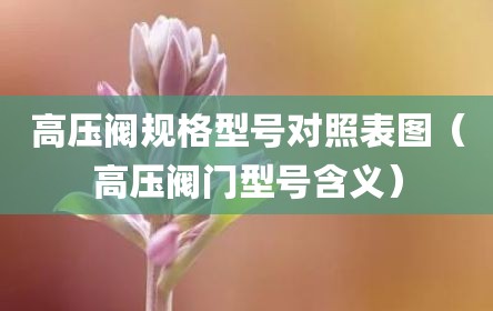 高压阀规格型号对照表图（高压阀门型号含义）
