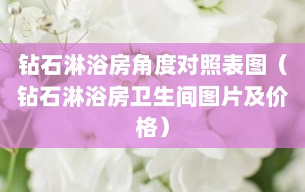 钻石淋浴房角度对照表图（钻石淋浴房卫生间图片及价格）