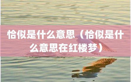 恰似是什么意思（恰似是什么意思在红楼梦）