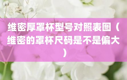 维密厚罩杯型号对照表图（维密的罩杯尺码是不是偏大）