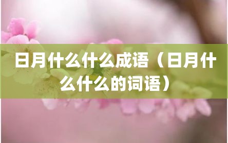日月什么什么成语（日月什么什么的词语）