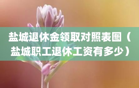 盐城退休金领取对照表图（盐城职工退休工资有多少）