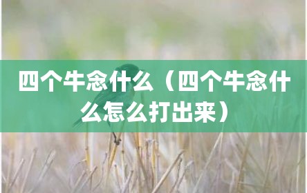 四个牛念什么（四个牛念什么怎么打出来）