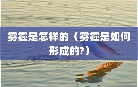 雾霾是怎样的（雾霾是如何形成的?）