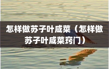 怎样做苏子叶咸菜（怎样做苏子叶咸菜窍门）
