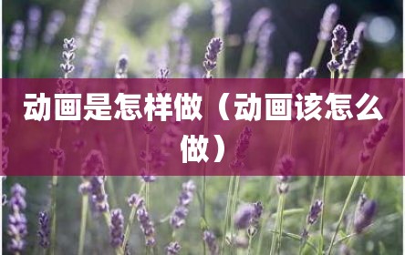 动画是怎样做（动画该怎么做）