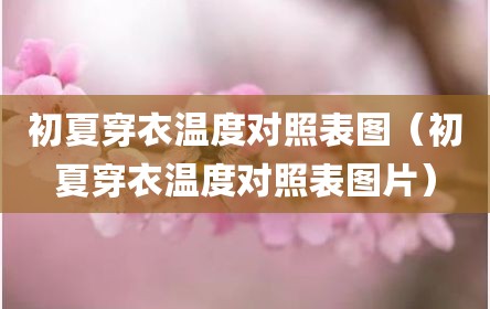 初夏穿衣温度对照表图（初夏穿衣温度对照表图片）