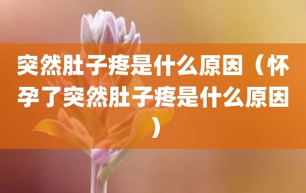 突然肚子疼是什么原因（怀孕了突然肚子疼是什么原因）