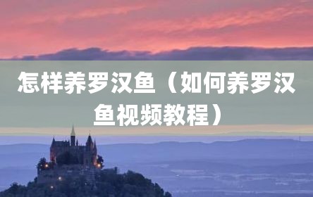 怎样养罗汉鱼（如何养罗汉鱼视频教程）