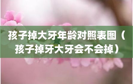 孩子掉大牙年龄对照表图（孩子掉牙大牙会不会掉）