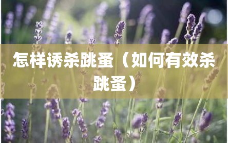 怎样诱杀跳蚤（如何有效杀跳蚤）