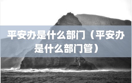 平安办是什么部门（平安办是什么部门管）