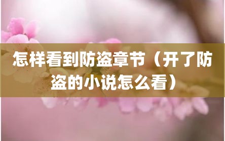 怎样看到防盗章节（开了防盗的小说怎么看）