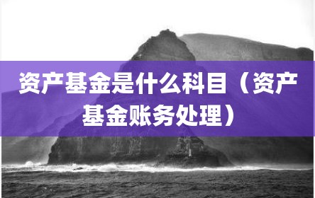资产基金是什么科目（资产基金账务处理）