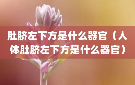 肚脐左下方是什么器官（人体肚脐左下方是什么器官）