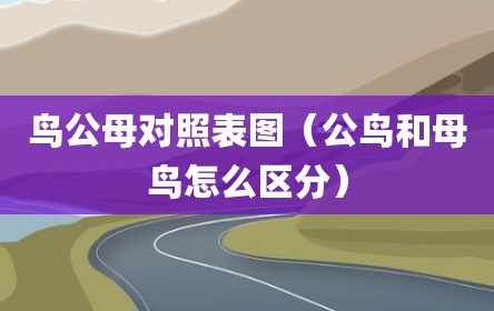 鸟公母对照表图（公鸟和母鸟怎么区分）