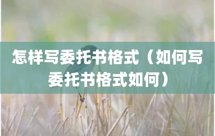 怎样写委托书格式（如何写委托书格式如何）