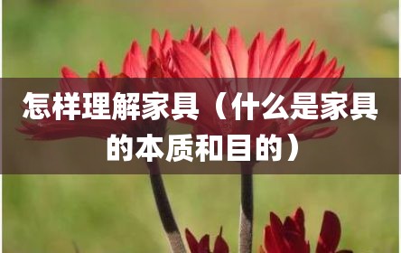 怎样理解家具（什么是家具的本质和目的）