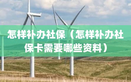 怎样补办社保（怎样补办社保卡需要哪些资料）
