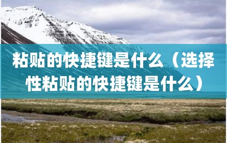 粘贴的快捷键是什么（选择性粘贴的快捷键是什么）