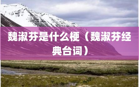 魏淑芬是什么梗（魏淑芬经典台词）