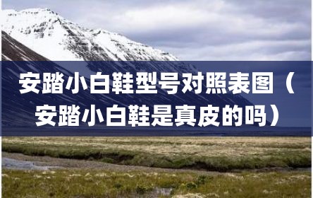 安踏小白鞋型号对照表图（安踏小白鞋是真皮的吗）