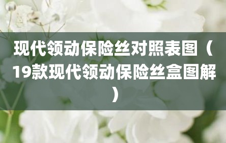现代领动保险丝对照表图（19款现代领动保险丝盒图解）
