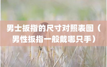 男士扳指的尺寸对照表图（男性扳指一般戴哪只手）