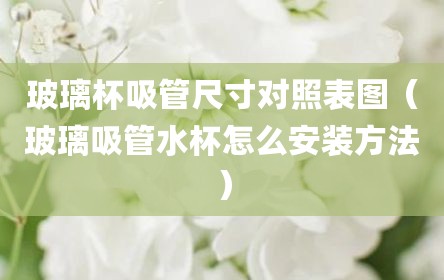玻璃杯吸管尺寸对照表图（玻璃吸管水杯怎么安装方法）