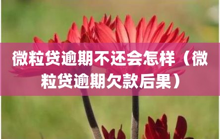 微粒贷逾期不还会怎样（微粒贷逾期欠款后果）