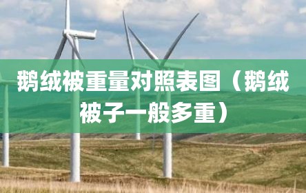 鹅绒被重量对照表图（鹅绒被子一般多重）