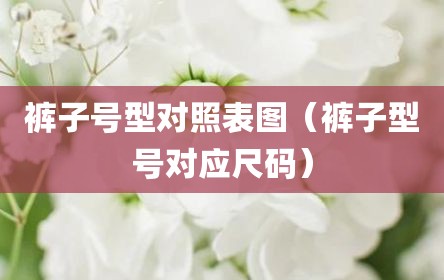 裤子号型对照表图（裤子型号对应尺码）