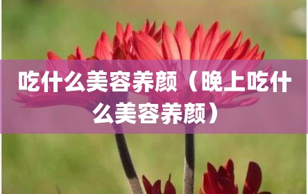 吃什么美容养颜（晚上吃什么美容养颜）