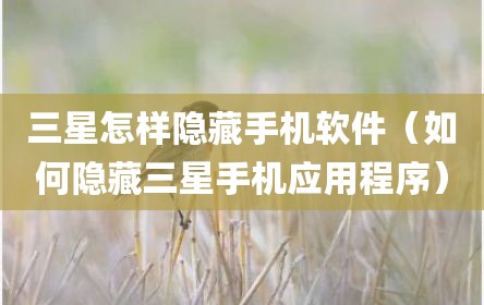 三星怎样隐藏手机软件（如何隐藏三星手机应用程序）