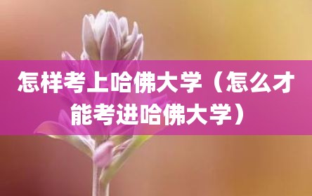 怎样考上哈佛大学（怎么才能考进哈佛大学）