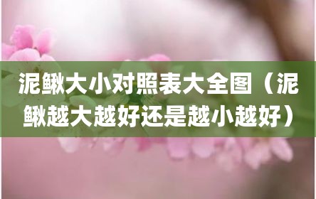 泥鳅大小对照表大全图（泥鳅越大越好还是越小越好）