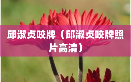 邱淑贞咬牌（邱淑贞咬牌照片高清）
