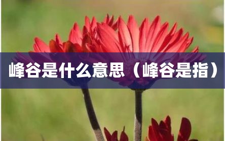 峰谷是什么意思（峰谷是指）